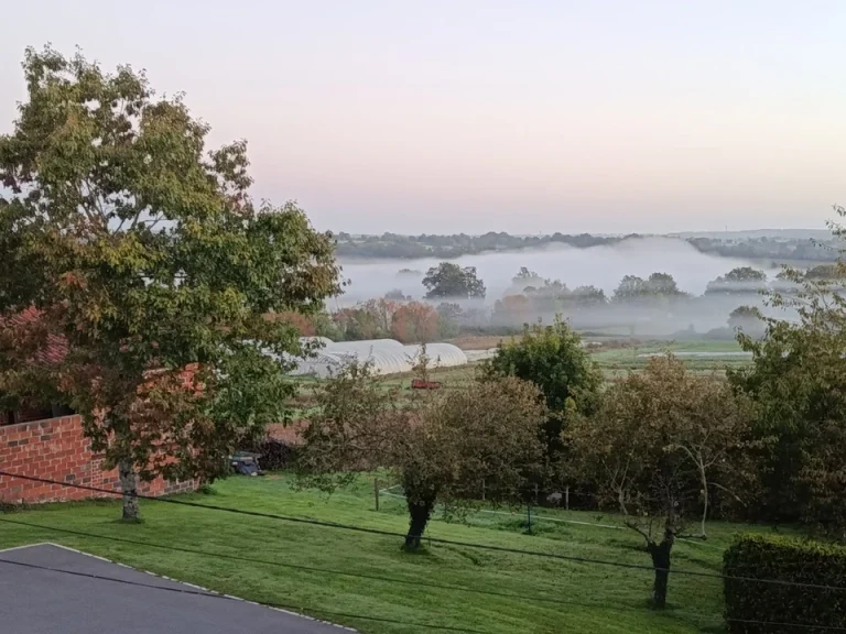 vue du bocage vendéen depuis le logis à Puy-de-Serre